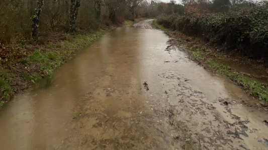 When the Trail Turns to Water: Winter on the Camino de Invierno